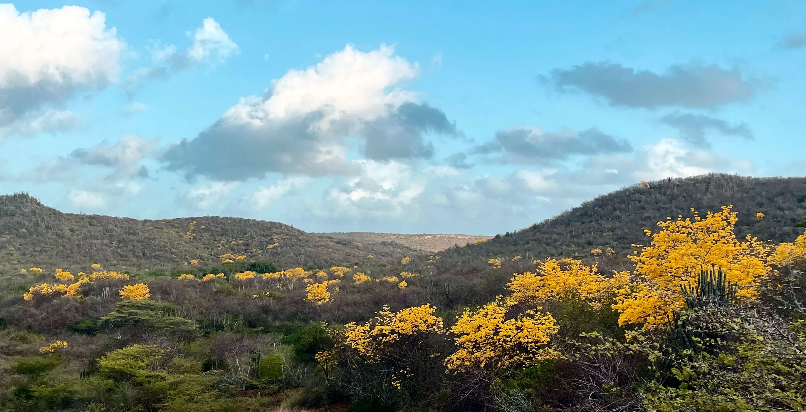 Kibrahacha — photo 4