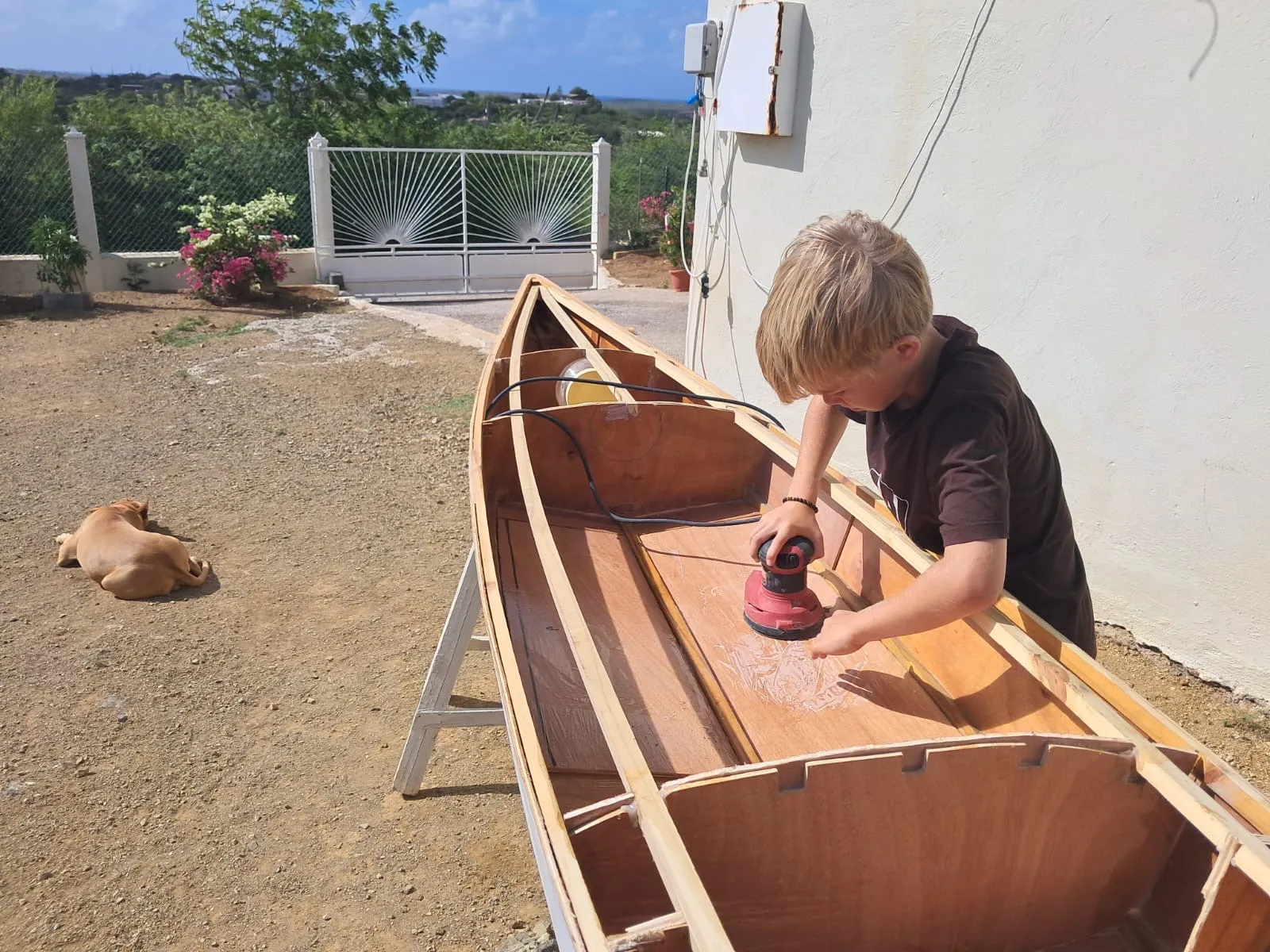 Dushi Kayak Tours in Curaçao